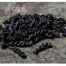 Mini fusilli PastaPower20 - Pâtes hyper protéinées à la spiruline