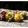 Pâtes artisanales aux betteraves et aux épinard, trottole
