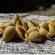 Conchiglie rigate au curry de Madras - Pâtes sèches