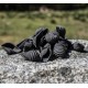 Conchiglie rigate à l'encre de seiche - Pâtes sèches