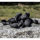 Conchiglie rigate à l'encre de seiche - Pâtes sèches