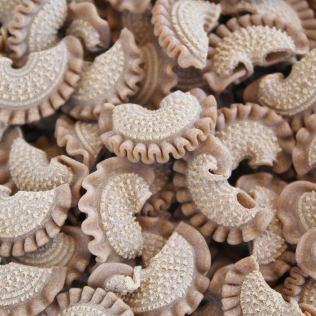 Pâtes aux cépes, crêtes de coq aux champignons