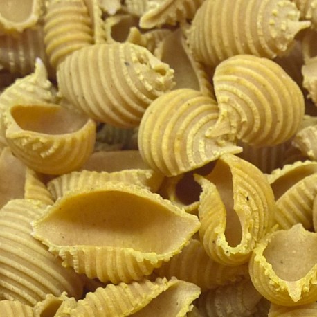 Conchiglie rigate au curry de Madras - Pâtes sèches